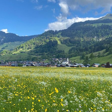 Haus Diedams Schoppernau Zewnętrze zdjęcie