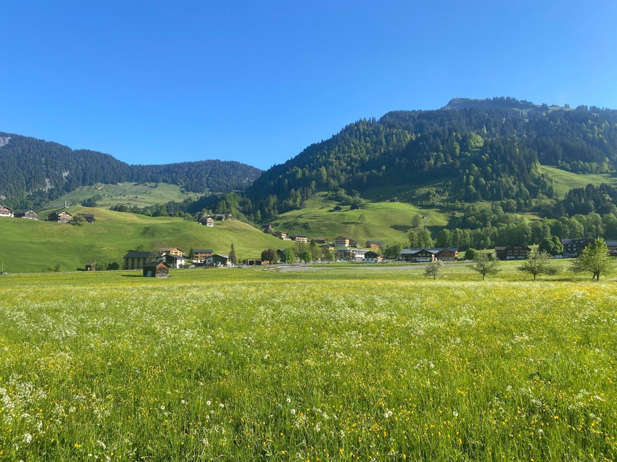 Haus Diedams Schoppernau Zewnętrze zdjęcie