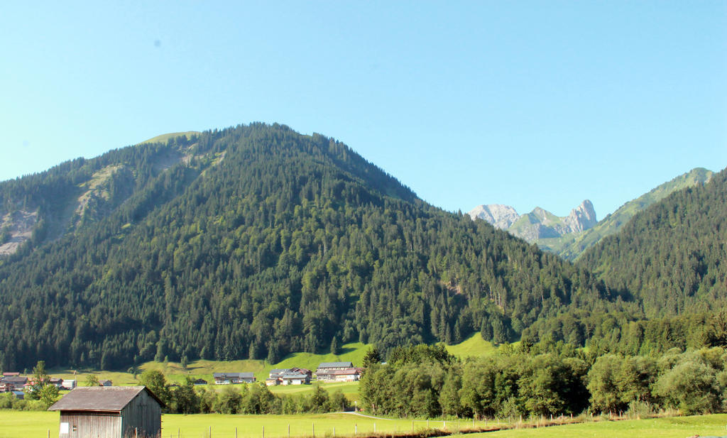 Haus Diedams Schoppernau Zewnętrze zdjęcie