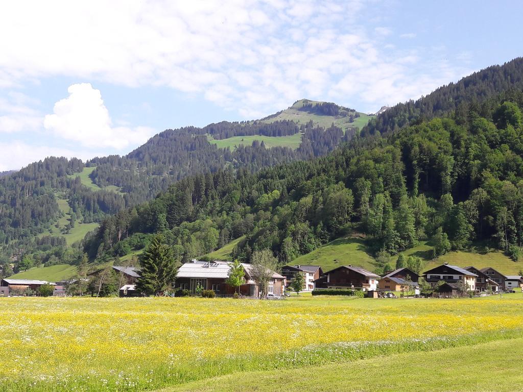 Haus Diedams Schoppernau Zewnętrze zdjęcie